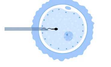 临沂请问代孕怎么做,俄罗斯试管婴儿周期多久？-农历10月生男生女_试管怀孕后