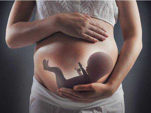 代孕对胎儿的影响有多大,洛阳一机构被指为同志家庭提供商业代孕，相关部门