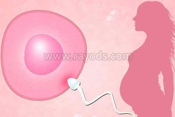 金华有需要找代妈,美国试管婴儿成功率高是毋庸置疑的，卵巢早衰赴美IVF着床