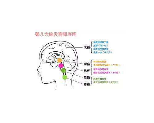 上海试管最好的医院排名，附助孕机构一览！