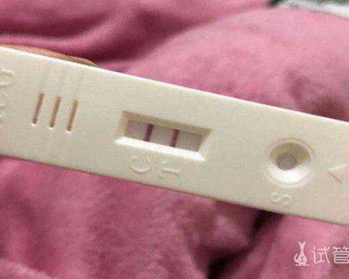 辽宁找代孕公司电话,ivf代孕