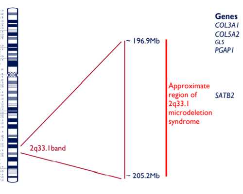 武汉正规借卵试管机构排名名单？附详细介绍？_代孕生殖中心-哪家代孕机构靠