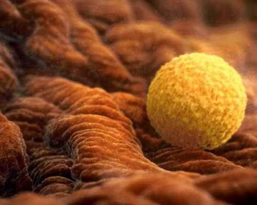 延安代孕妈妈qq群,代孕要多少费用