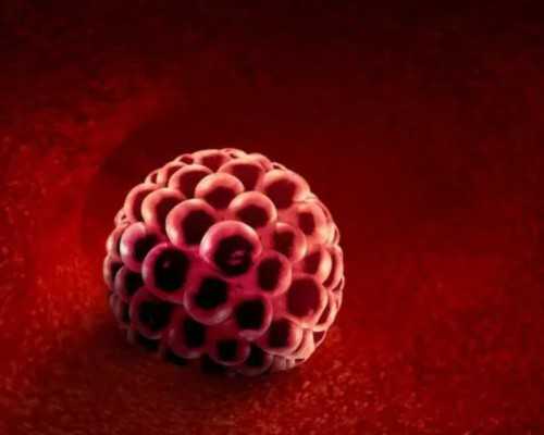 乌克兰做试管助孕费用清单