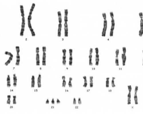 辽宁找代孕公司电话,ivf代孕