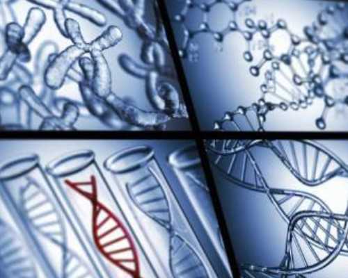 试管代孕的看法-成都代孕全过程