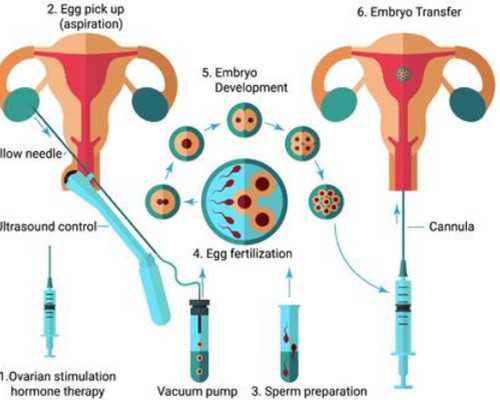 代孕价格多少钱（国内代孕违法吗
