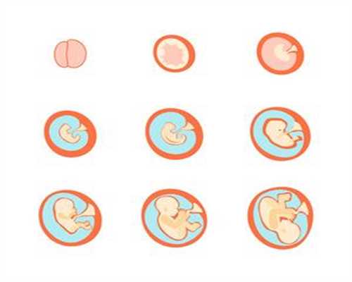 冻胚能移植到代孕母体吗_有代孕吗_香港助孕试管婴儿治疗中有哪些因素影响卵