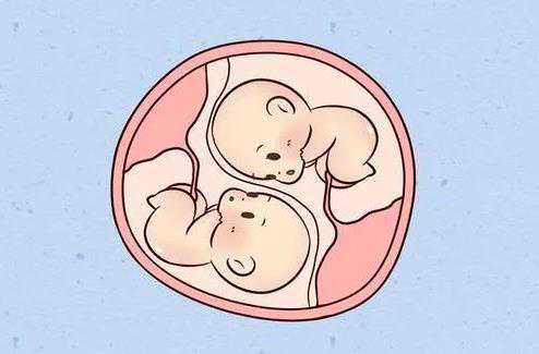 怎样才能去做代孕_找代孕有私聊吗_杭州能做三代试管婴儿最好的医院是哪个？
