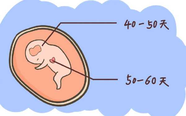代孕想要孩子_哪儿医院有代孕_做试管婴儿取卵危害大吗