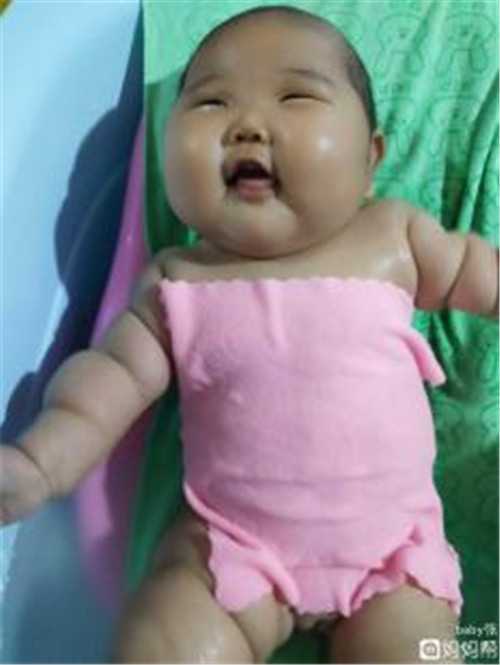 上海试管代孕多久成功 上海市第十人民医院试管婴儿成功率 ‘怀女宝肚型’