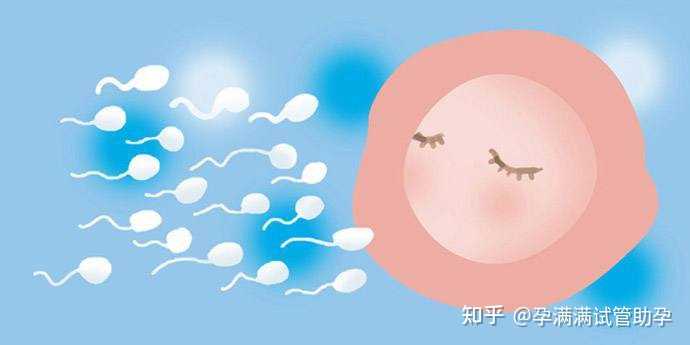 北京做试管代孕有几家医院|南京找女人代孕电话,南京试管婴儿可以挑选男女吗