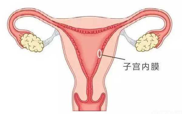 广州试管婴儿代孕|沈阳本地代孕公司